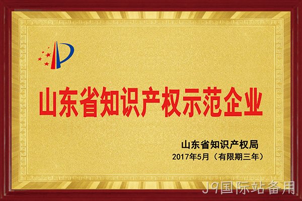 替换词荣获“2017年山东省知识产权示范企业”称号