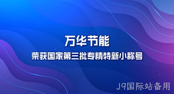 替换词荣获国家第三批专精特新小巨人称号
